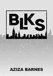 BLKS play banner