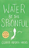 Water by the Spoonful play banner