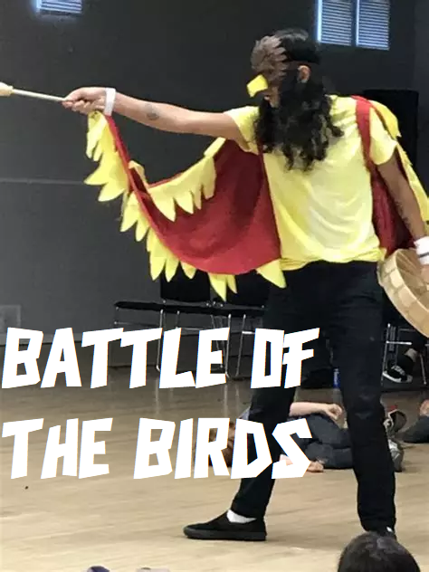 Battle of the Birds play banner