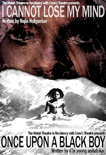 Once Upon a Black Boy play banner