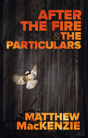 After the Fire play banner